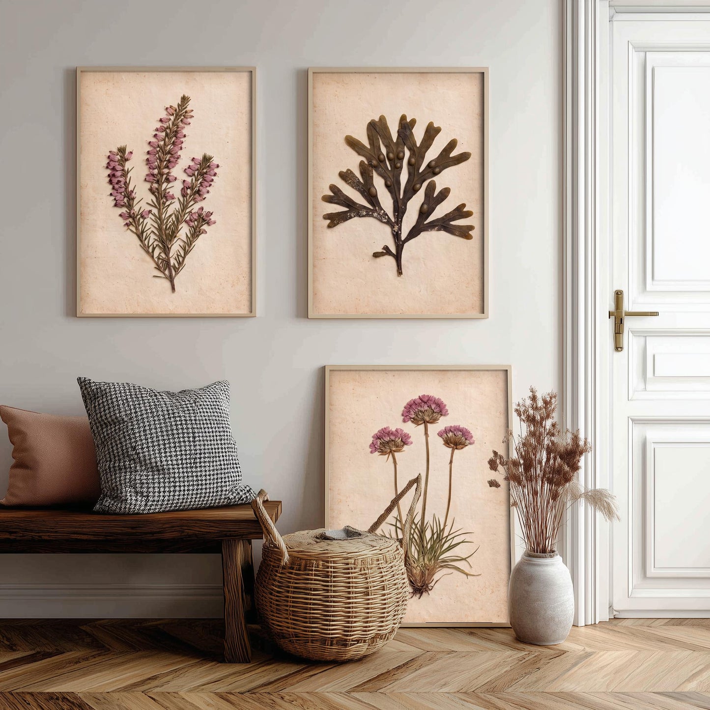 Cornwall Coast Set of Three Art Prints - Cornish Heath Bladderwrack Seaweed and Sea Pink Thrift - Pressed Seaside Herbarium Photo Posters