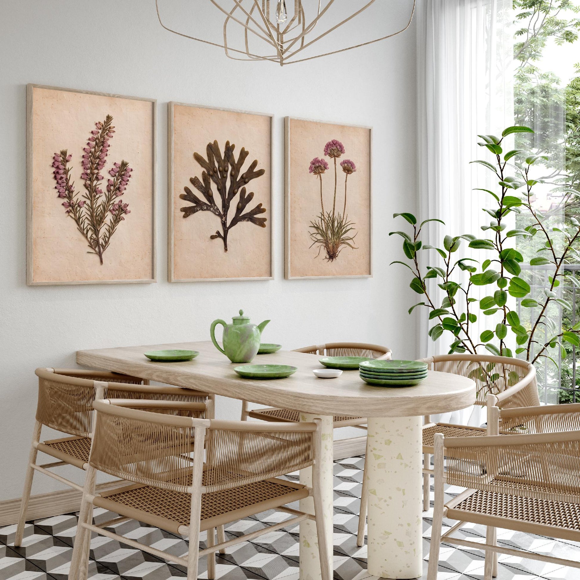 Cornwall Coast Set of Three Art Prints - Cornish Heath Bladderwrack Seaweed and Sea Pink Thrift - Pressed Seaside Herbarium Photo Posters