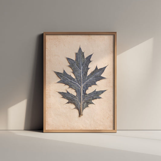 Sea Holly Art Print - Pressed Blue Eryngium Leaf Poster - Vintage Cornwall Dune Herbarium Photo 1/3