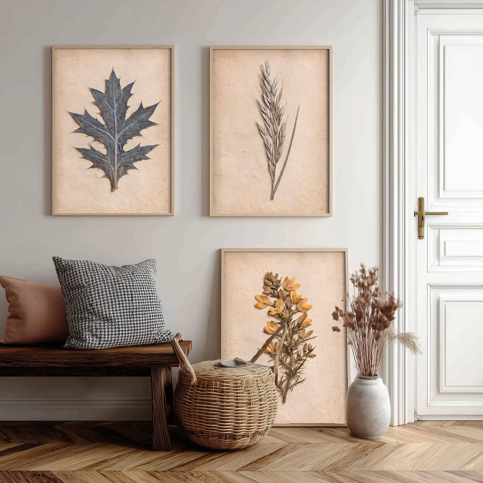 Cornish Dunes Set of Three Art Prints - Sea Holly Marram Grass and Gorse - Pressed Coastal Botanical Posters - Cornwall Beach Photo