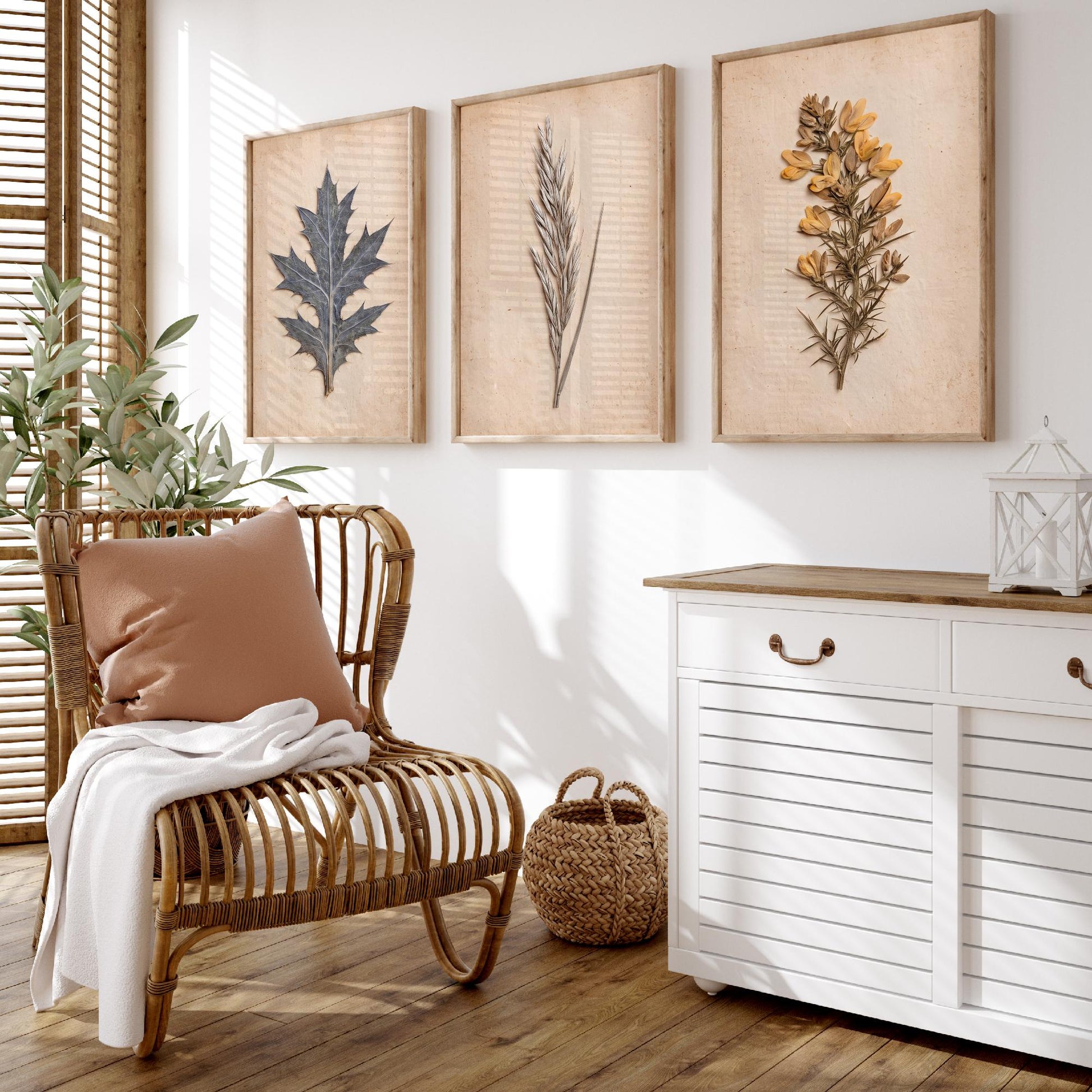 Cornish Dunes Set of Three Art Prints - Sea Holly Marram Grass and Gorse - Pressed Coastal Botanical Posters - Cornwall Beach Photo