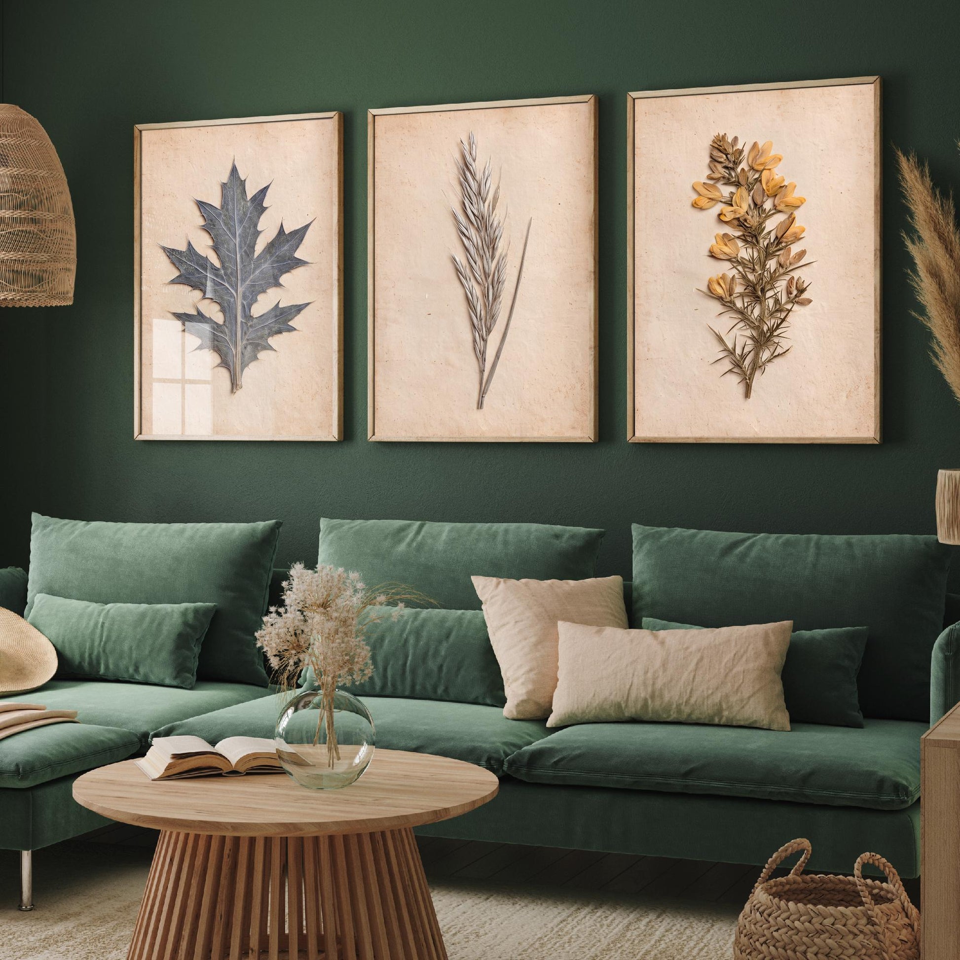 Cornish Dunes Set of Three Art Prints - Sea Holly Marram Grass and Gorse - Pressed Coastal Botanical Posters - Cornwall Beach Photo