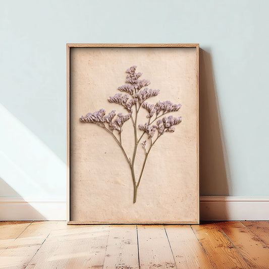 Sea Lavender Art Print - Pressed Statice Flower Poster - Vintage Cornwall Shoreline Herbarium Photo 1/3
