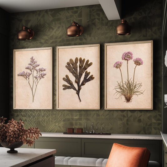 Sea Lavender Bladderwrack and Thrift Set of Three Art Prints - Vintage Cornwall Shoreline Herbarium - Pressed Sea Flower Photo Posters