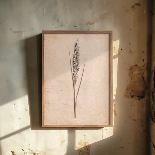 Marram Grass Art Print - Vintage Cornwall Beach Photo - Pressed Dune Grass Poster - Coastal Herbarium 2/3