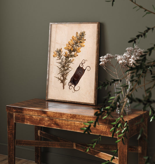 Gorse Art Print - Vintage Cornwall Coast Photo - Pressed Yellow Flower Poster - Beachcombing Herbarium 3/3