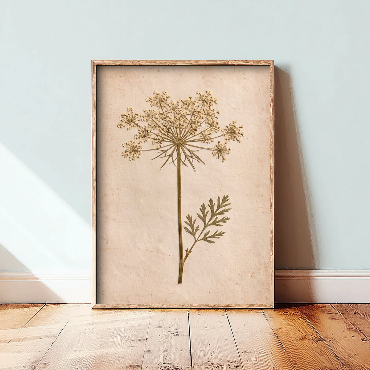 Queen Anne's Lace Art Print - Vintage Pressed Flower Photo - Wild Carrot Poster - Cream Cottage Herbarium 3/3