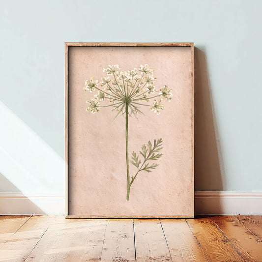 Queen Anne's Lace Watercolour Art Print - Wild Carrot Flower Poster - Blush Pink Botanical 3/3