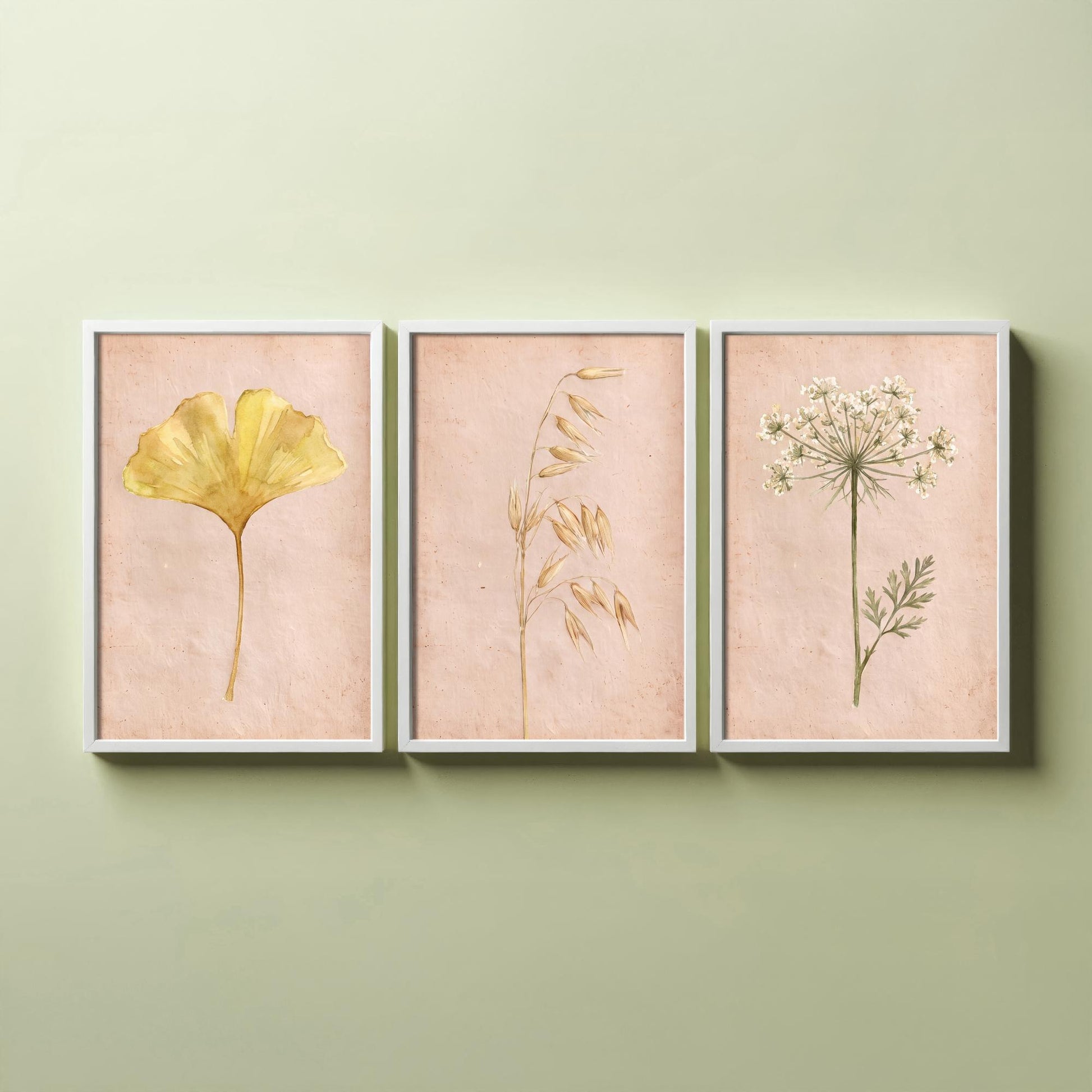 Watercolour Ginkgo Oat Grass Queen Anne's Lace Set of Three Art Prints - Soft Blush Botanical Posters - Herbarium Watercolor Painting