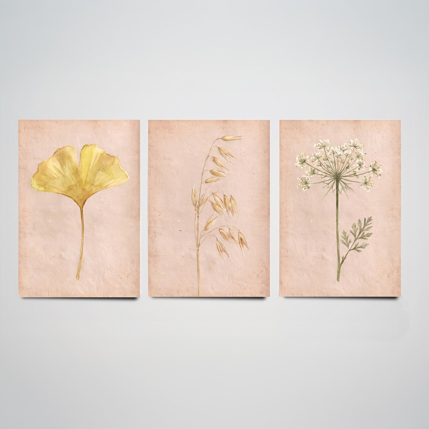Watercolour Ginkgo Oat Grass Queen Anne's Lace Set of Three Art Prints - Soft Blush Botanical Posters - Herbarium Watercolor Painting