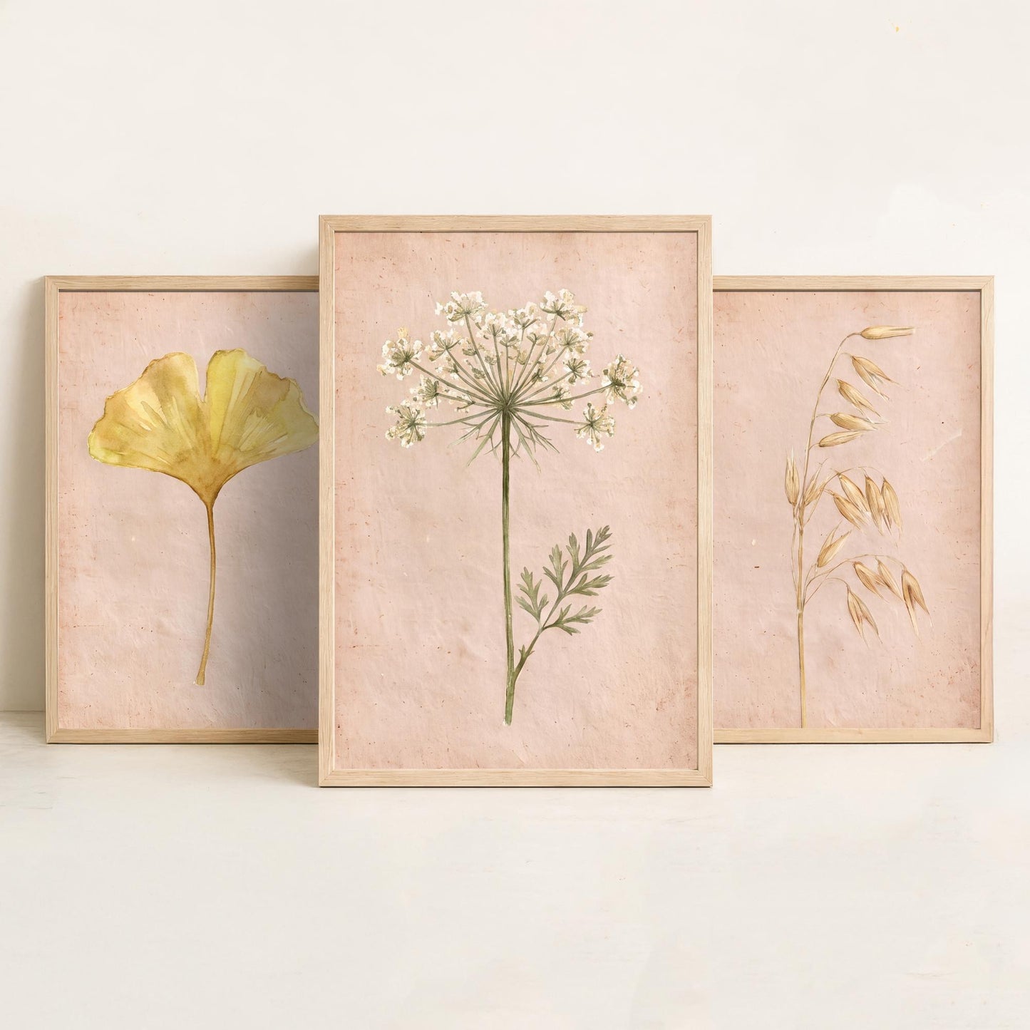 Watercolour Ginkgo Oat Grass Queen Anne's Lace Set of Three Art Prints - Soft Blush Botanical Posters - Herbarium Watercolor Painting