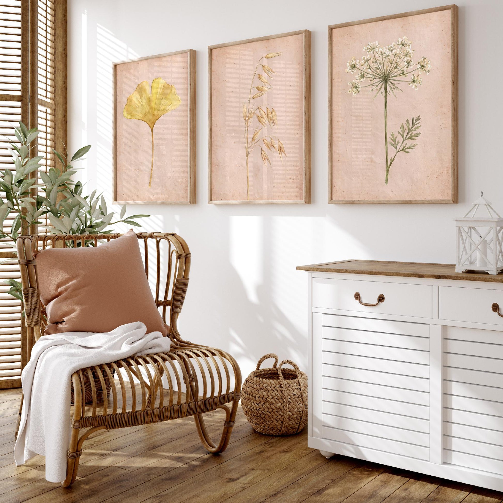 Watercolour Ginkgo Oat Grass Queen Anne's Lace Set of Three Art Prints - Soft Blush Botanical Posters - Herbarium Watercolor Painting