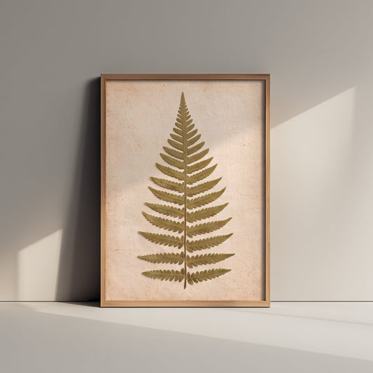 Pressed Fern Frond Art Print - Vintage Woodland Herbarium Poster - Green Hedgerow Foliage Botanical Photo 2/3