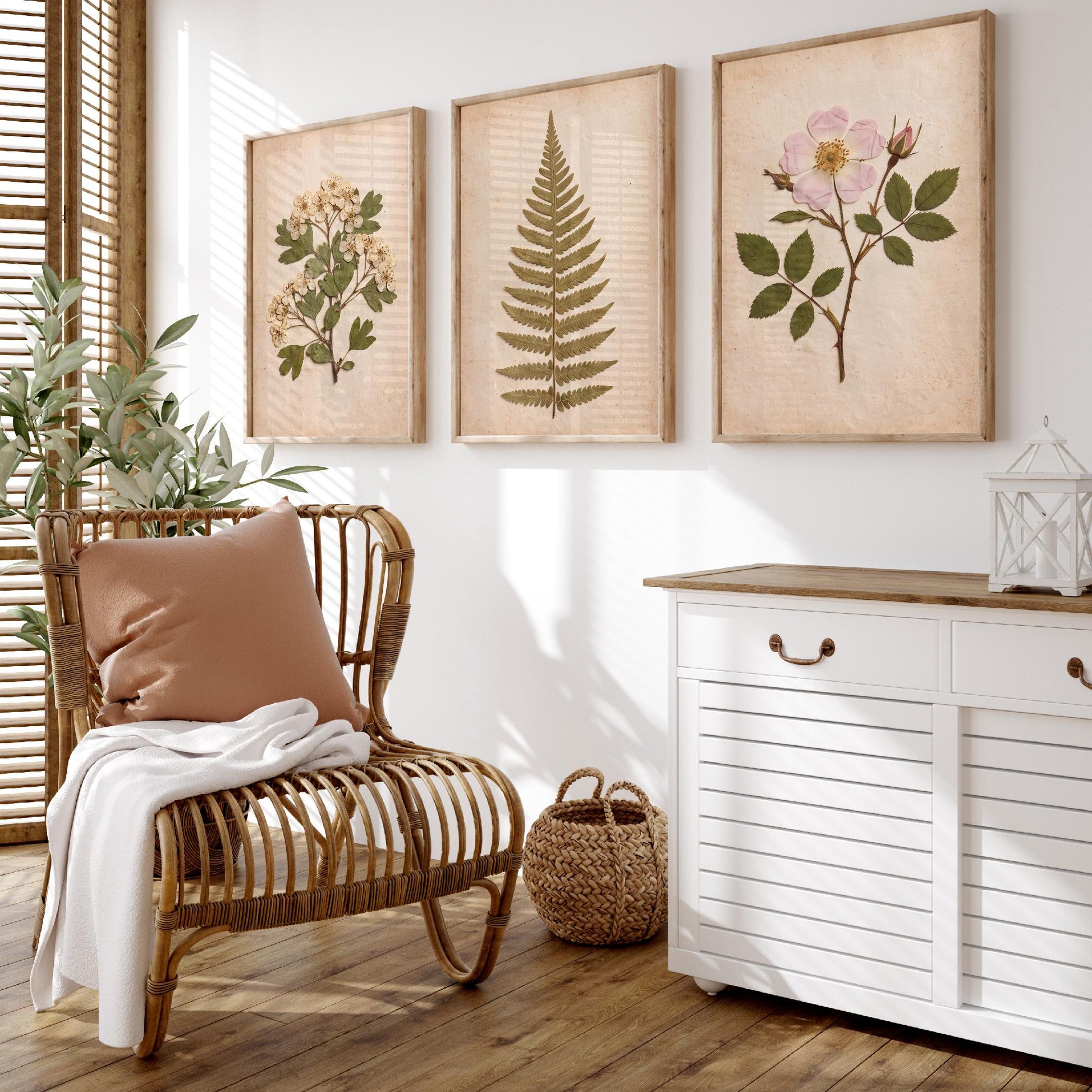 English Hedgerow Set of Three Art Prints - Pressed Hawthorn Fern and Wild Rose - Vintage Botanical Herbarium Posters Photo Cottage