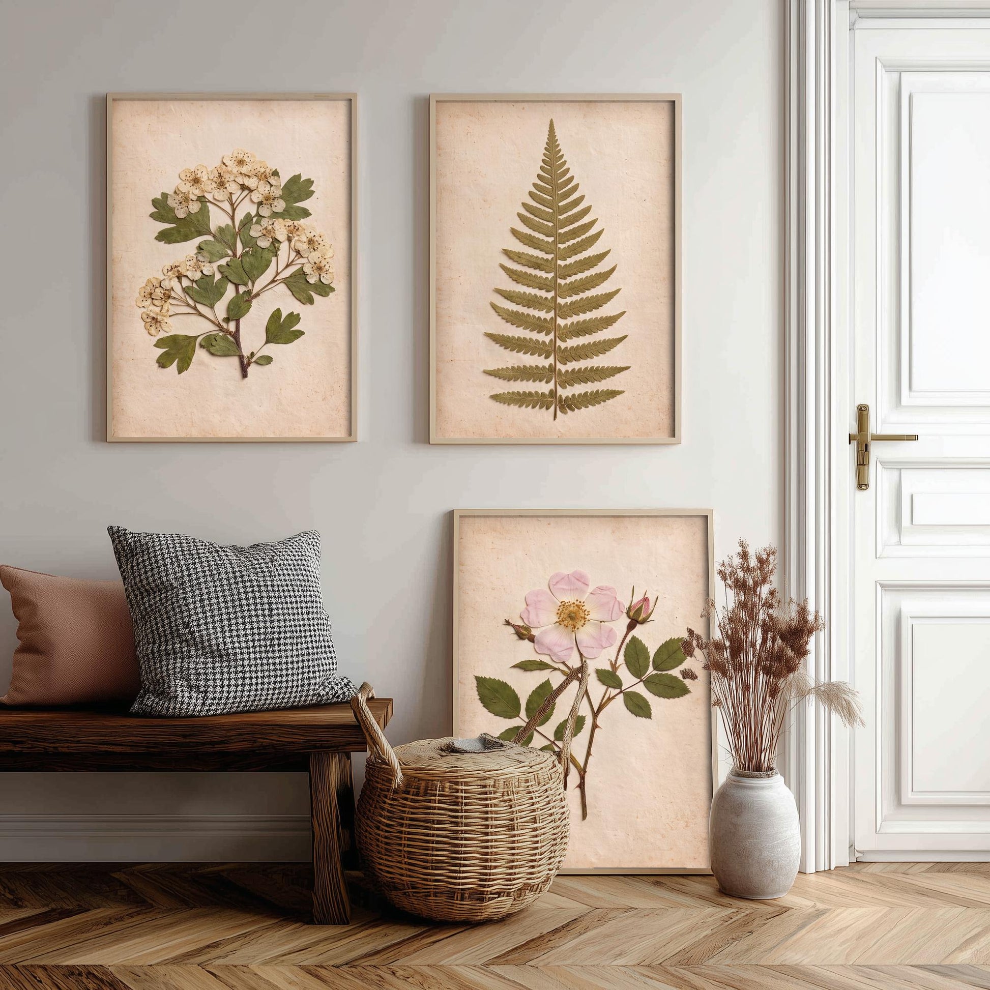 English Hedgerow Set of Three Art Prints - Pressed Hawthorn Fern and Wild Rose - Vintage Botanical Herbarium Posters Photo Cottage