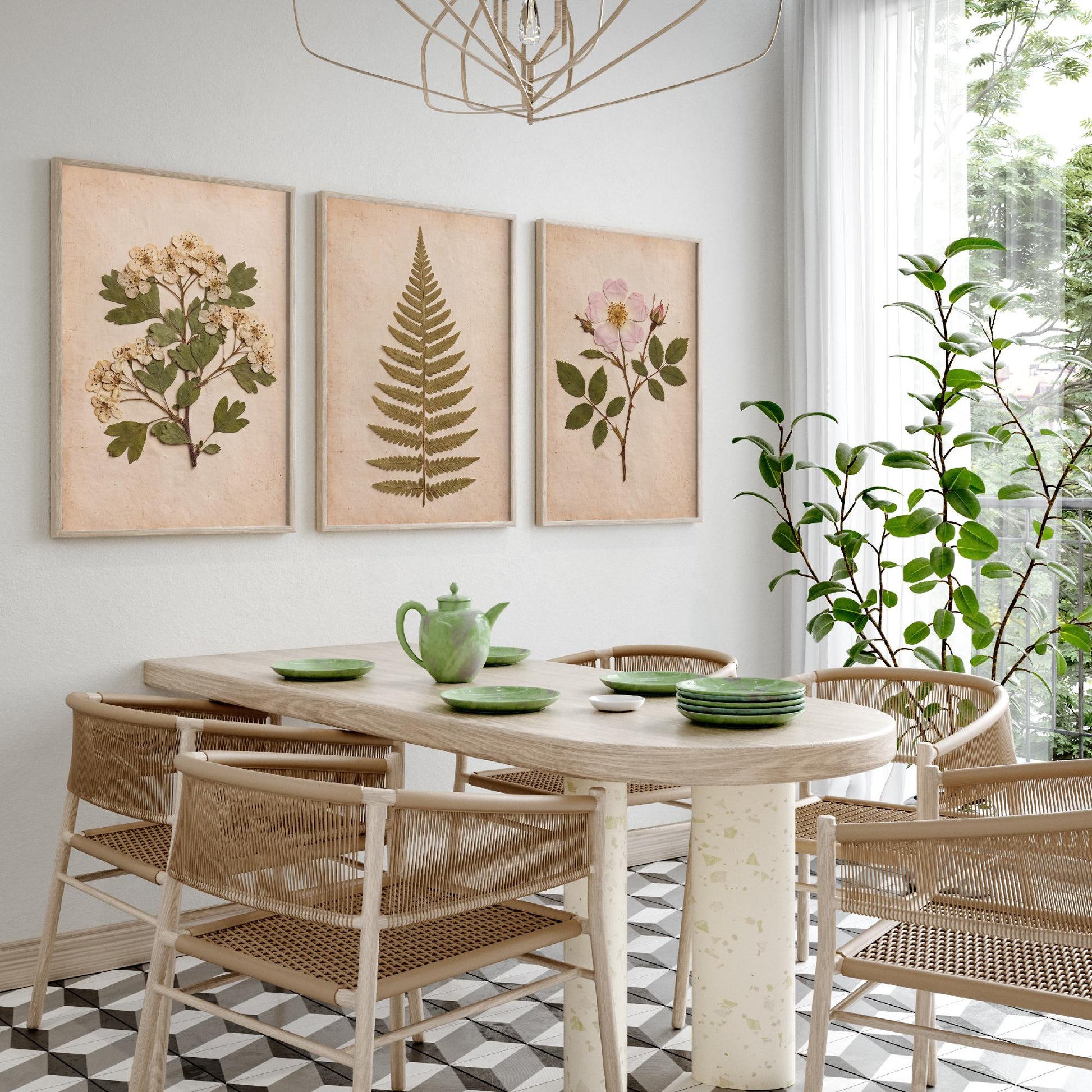 English Hedgerow Set of Three Art Prints - Pressed Hawthorn Fern and Wild Rose - Vintage Botanical Herbarium Posters Photo Cottage