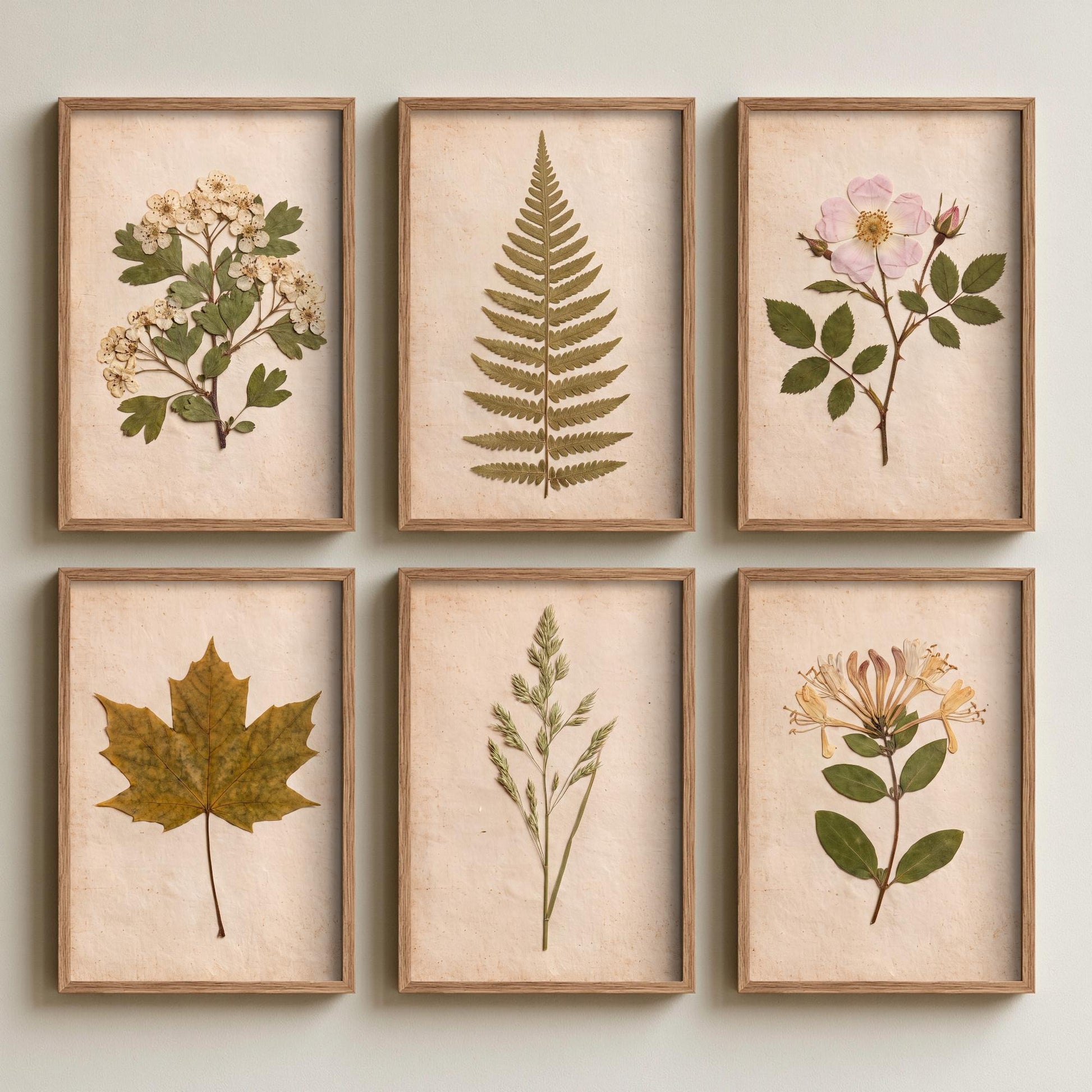 Set of Six English Hedgerow Art Prints - 6 Pressed Photo Posters - Hawthorn Blossom, Dog Rose, Honeysuckle, Fern, Maple Leaf, Wild Grass