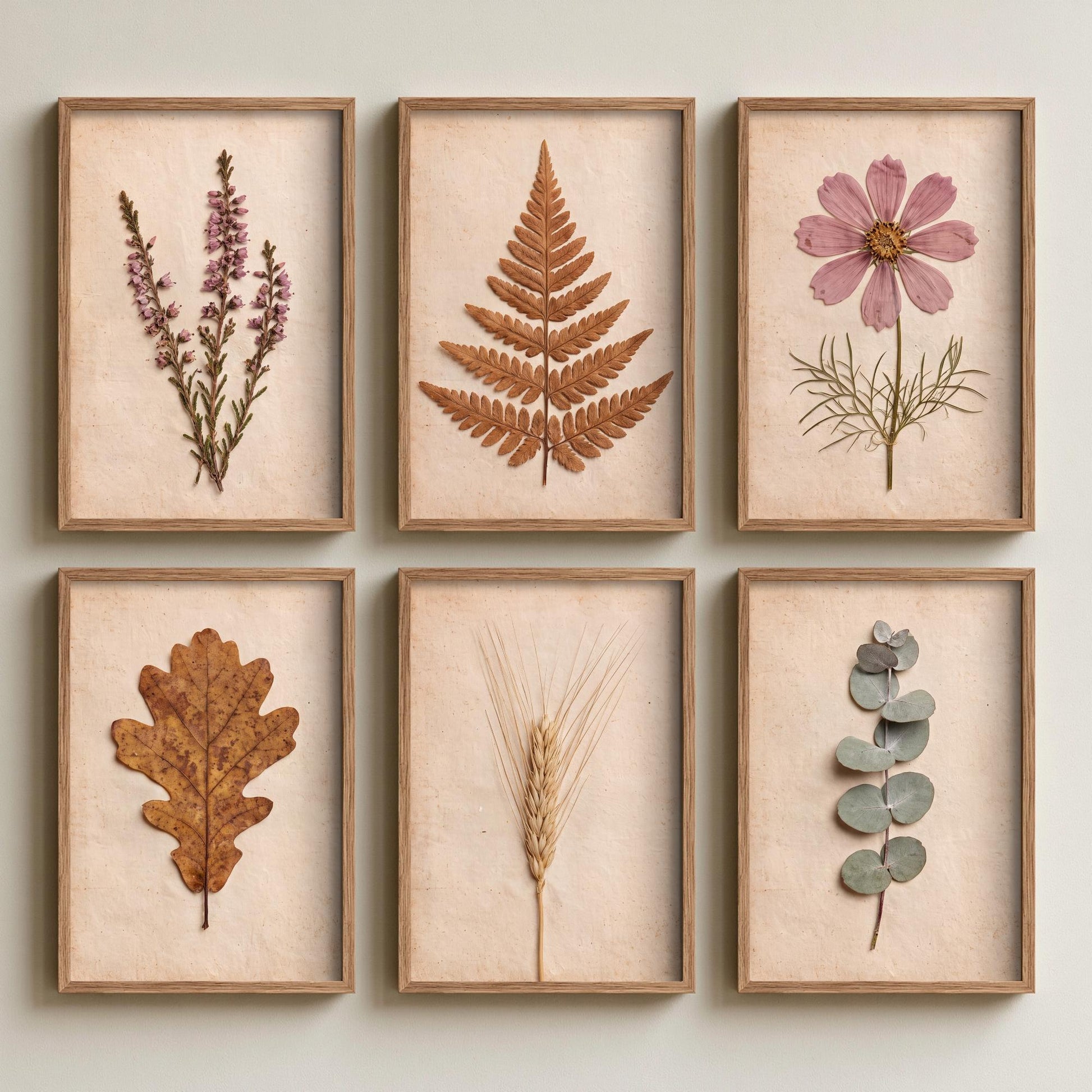 Set of Six Autumn Moorland Art Prints - 6 Pressed Botanical Photo Posters - Heather, Bracken, Cosmos, Oak Leaf, Barley, Eucalyptus