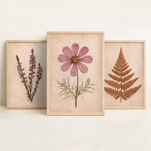 Moorland Set of Three Art Prints - Pressed Heather Bracken Fern and Cosmos - Vintage Herbarium Botanical Posters Photo Rustic Decor
