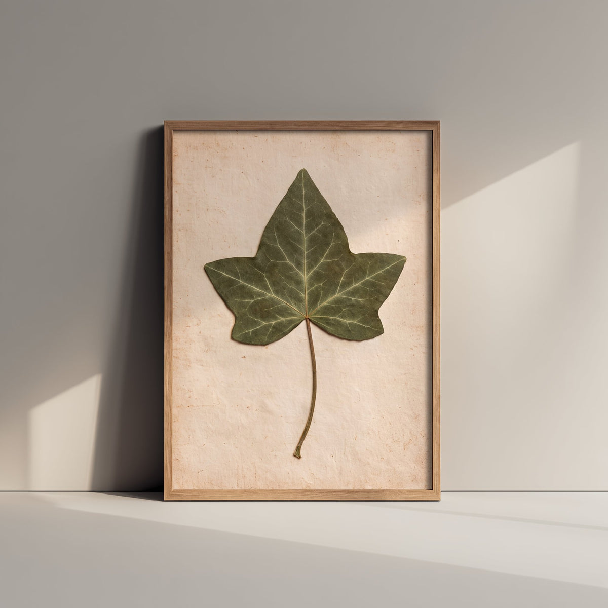 Pressed Ivy Leaf Art Print - English Ivy Vintage Herbarium Poster - Green Cottage Garden Botanical Photo 1/3