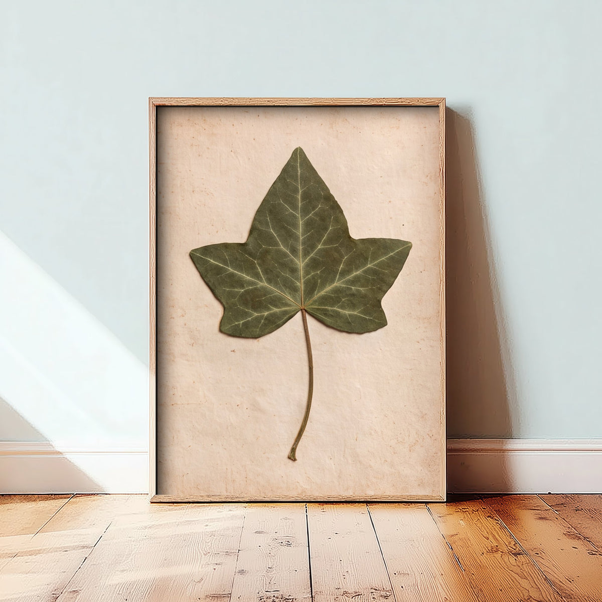 Pressed Ivy Leaf Art Print - English Ivy Vintage Herbarium Poster - Green Cottage Garden Botanical Photo 1/3