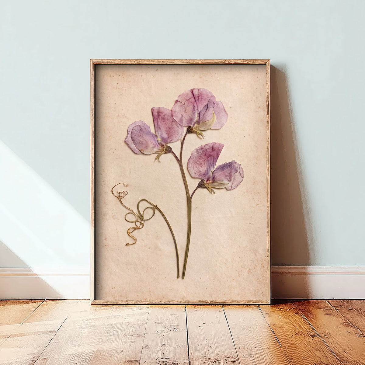 Pressed Sweet Pea Art Print - Lilac Vintage Herbarium Poster - Cottage Garden Flower Botanical Photo 3/3