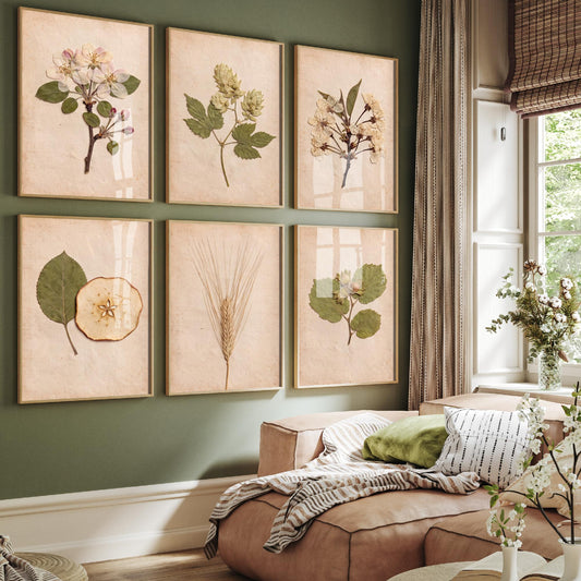 Set of Six Kent Orchard Pressed Flower Art Prints - 6 Herbarium Photo Posters - Apple Blossom, Hops, Cherry, Barley, Cobnut, Apple Slice V1