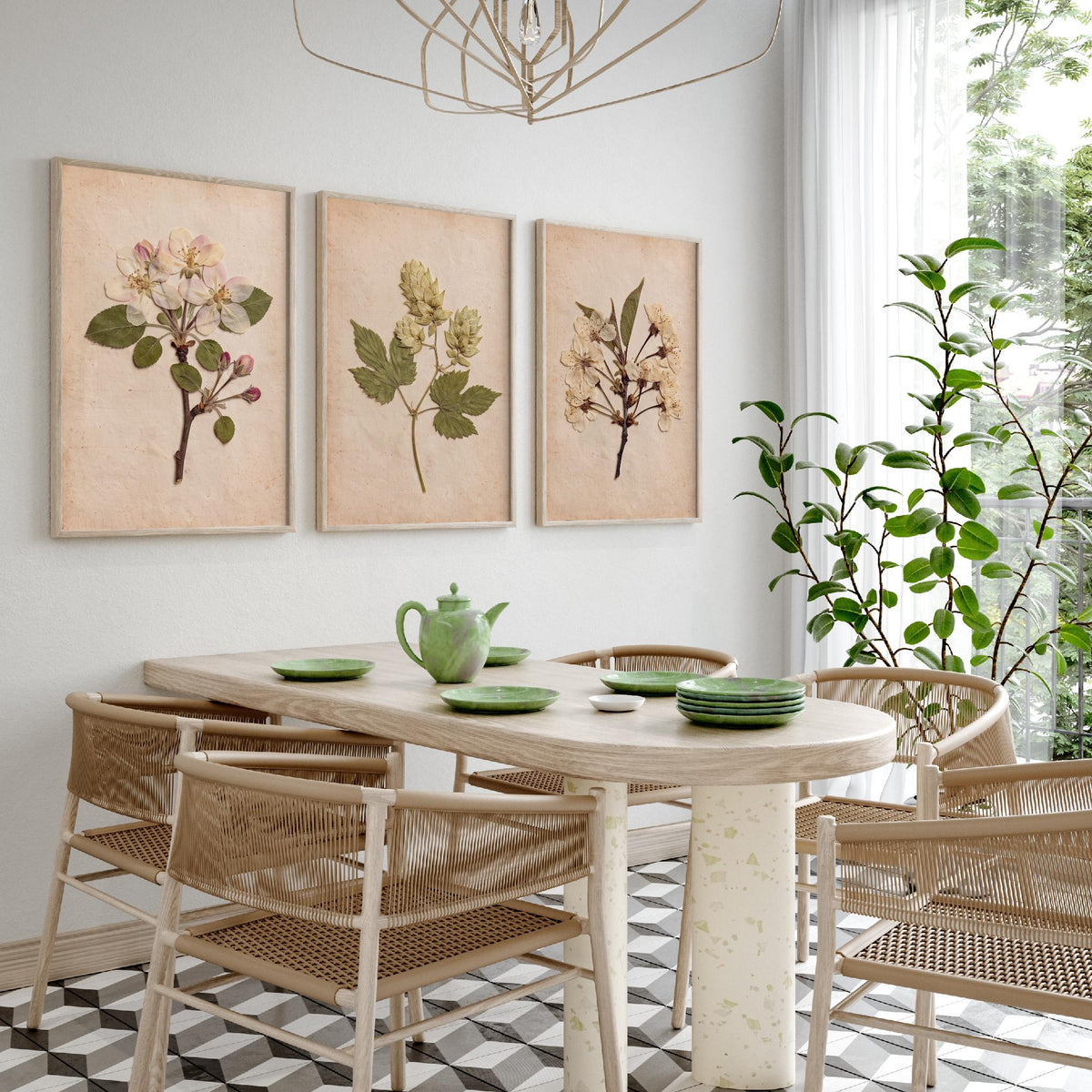 Kent Orchard Set of Three Art Prints - Pressed Apple Blossom Hops Cherry Blossom - Vintage Herbarium Botanical Posters Photo V1