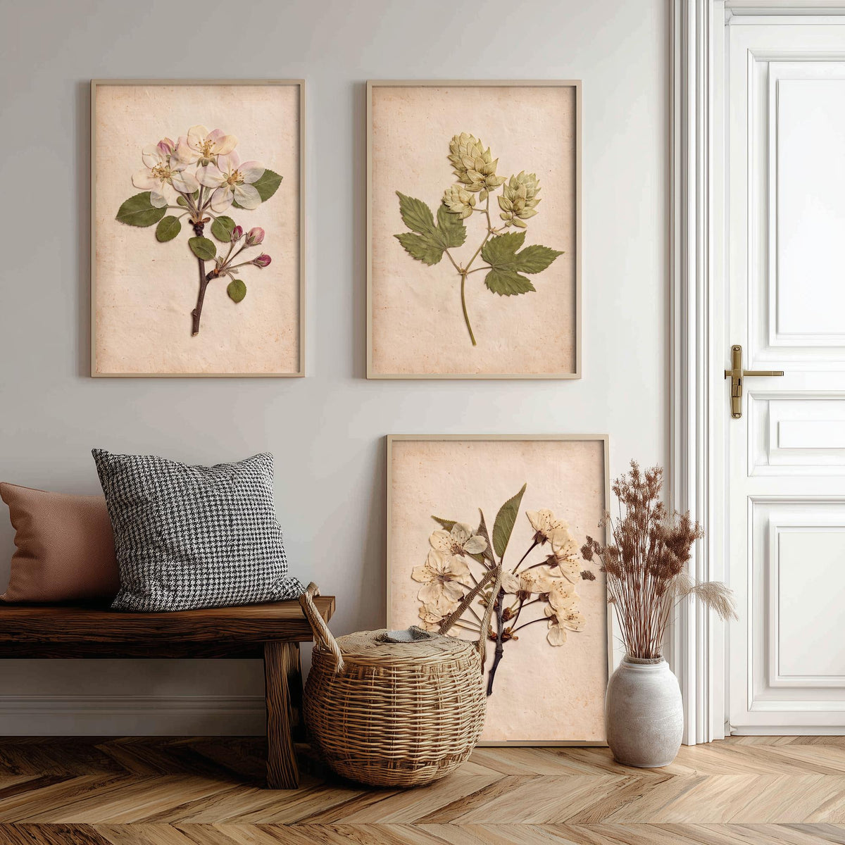 Kent Orchard Set of Three Art Prints - Pressed Apple Blossom Hops Cherry Blossom - Vintage Herbarium Botanical Posters Photo V1