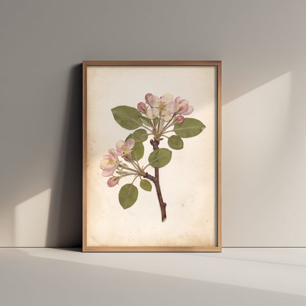 Kent Apple Blossom Branch Photo Poster - Garden of England Botanical Plate - Antique Pressed Flower Art Print V2 1/3