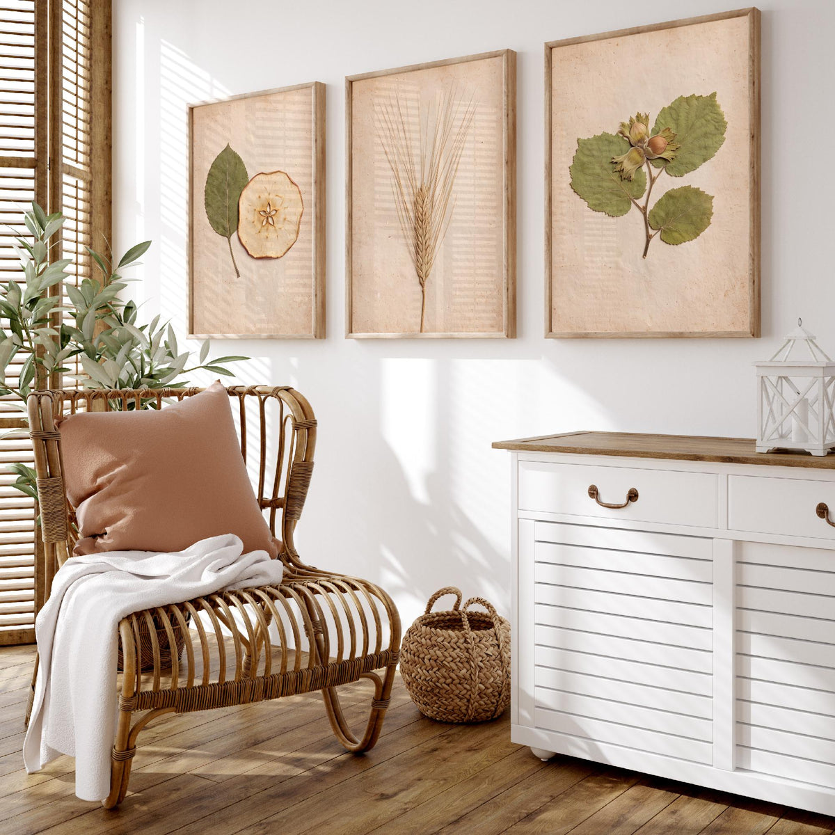 Kent Orchard Set of Three Art Prints - Pressed Apple Leaf and Slice, Barley, Cobnut - Vintage Kentish Harvest Herbarium Photo Posters V1