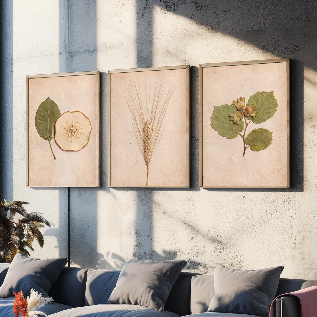 Kent Orchard Set of Three Art Prints - Pressed Apple Leaf and Slice, Barley, Cobnut - Vintage Kentish Harvest Herbarium Photo Posters V1