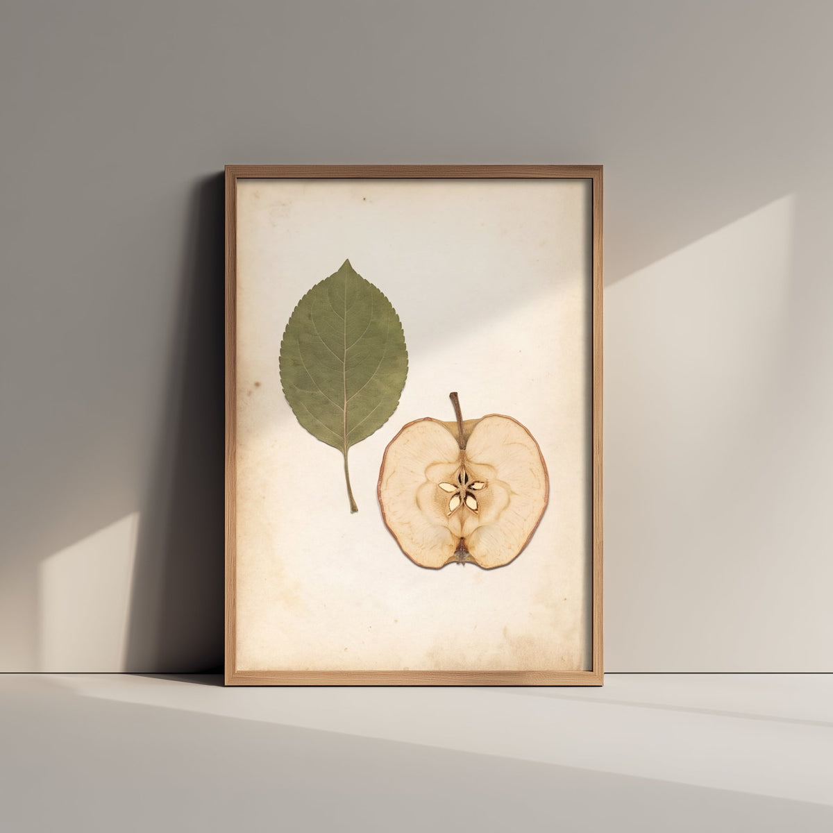 Dried Apple Half Art Print - Kentish Orchard Leaf and Fruit Photo - Vintage Herbarium Poster - Kent Harvest Botanical V2 1/3