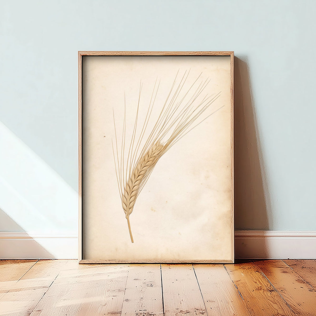 Bearded Barley Ear Art Print - Kentish Harvest Grain Photo - Vintage Herbarium Poster - Kent Farm Botanical V2 2/3