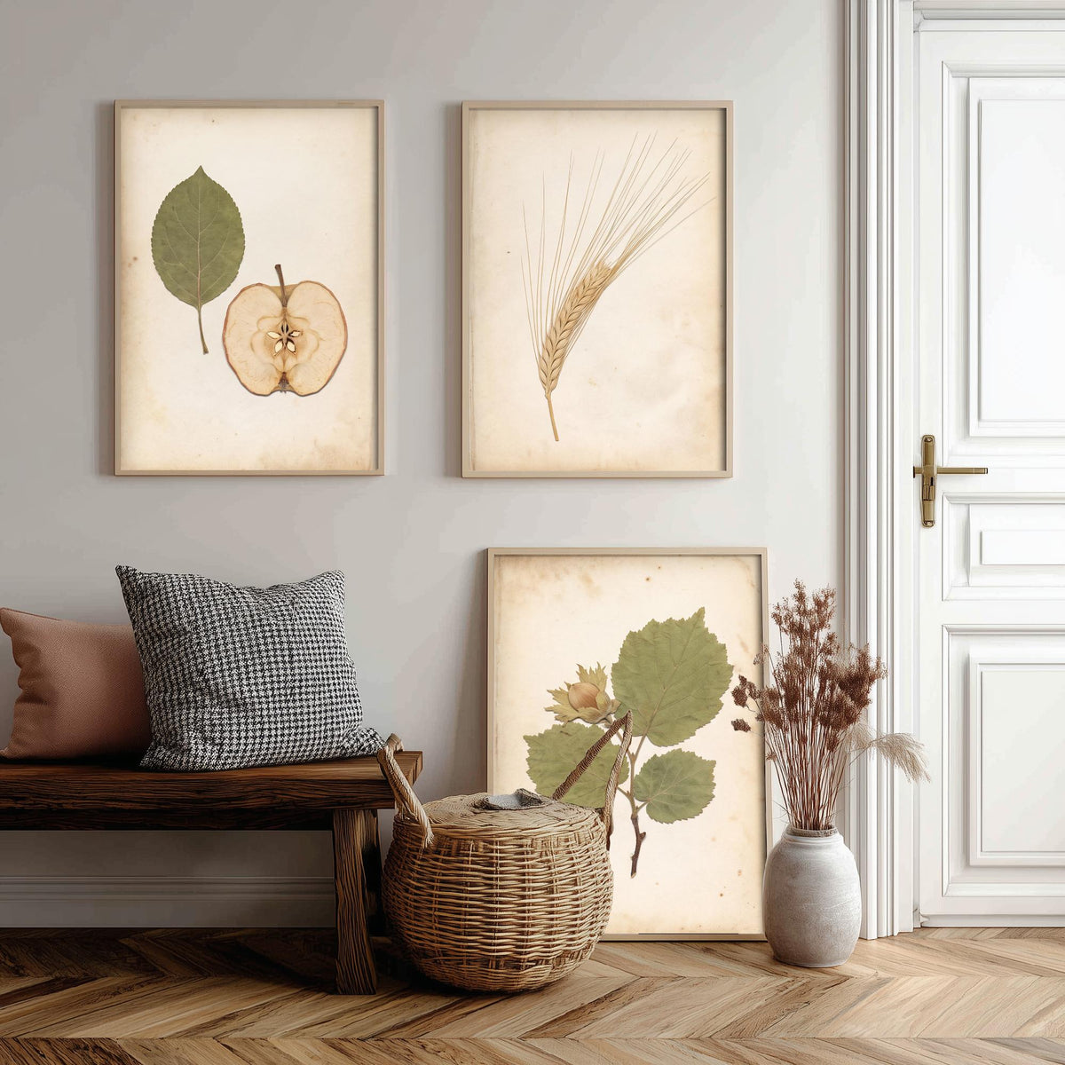 Set of Three Kent Orchard Art Prints - Dried Apple Half, Barley Ear, Cobnut Sprig - Pressed Botanical Photo Posters Kentish Fruit V2