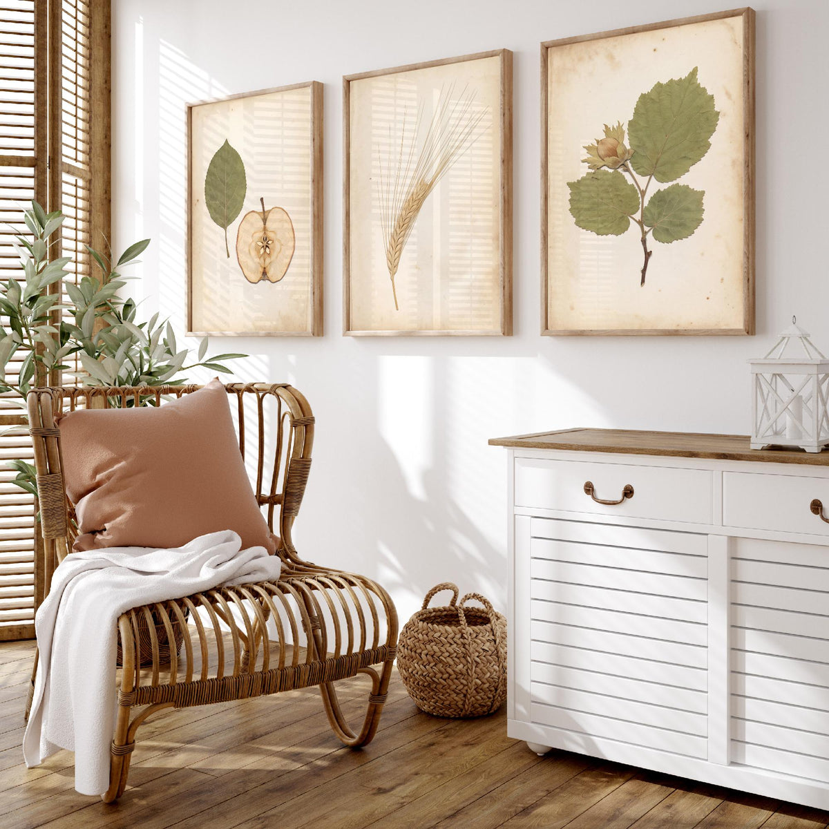 Set of Three Kent Orchard Art Prints - Dried Apple Half, Barley Ear, Cobnut Sprig - Pressed Botanical Photo Posters Kentish Fruit V2