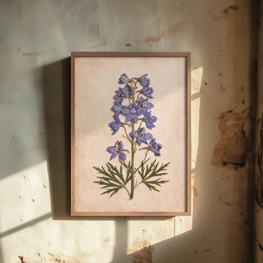 Pressed Larkspur Art Print - Blue Delphinium Flower Spike Photo - Vintage Herbarium Poster - Cottage Garden Botanical 1/3