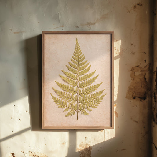 Pressed Fern Frond Art Print - Lacy Woodland Leaf Photo - Vintage Herbarium Poster - Green Cottage Botanical 2/3