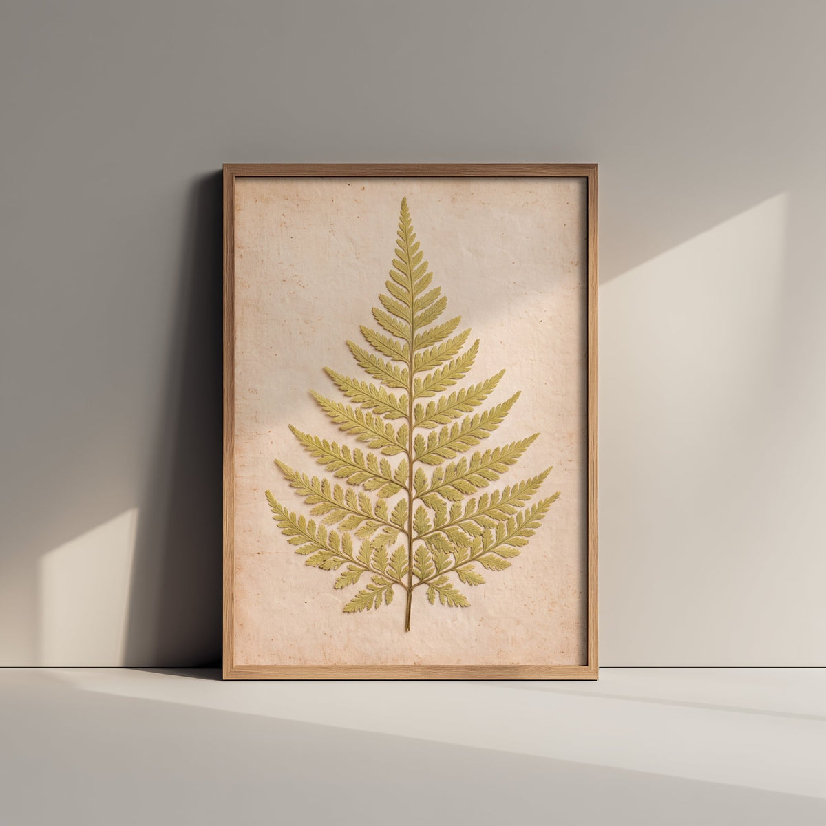 Pressed Fern Frond Art Print - Lacy Woodland Leaf Photo - Vintage Herbarium Poster - Green Cottage Botanical 2/3