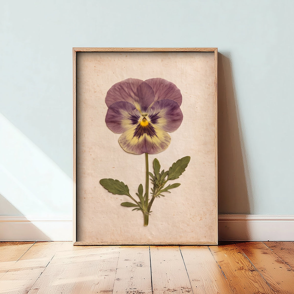 Pressed Pansy Art Print - Purple Viola Bloom Photo - Vintage Herbarium Poster - Victorian Cottage Garden Flower 3/3