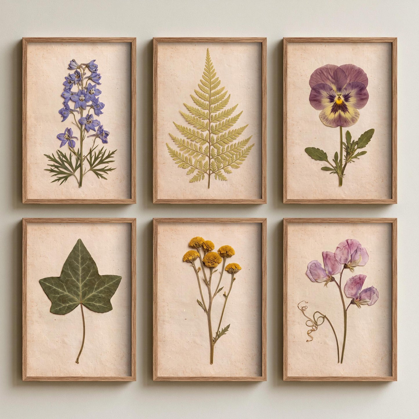 Set of Six Cottage Garden Pressed Flower Art Prints - 6 Botanical Photo Posters - Larkspur, Pansy, Sweet Pea, Tansy, Ivy, Fern Herbarium