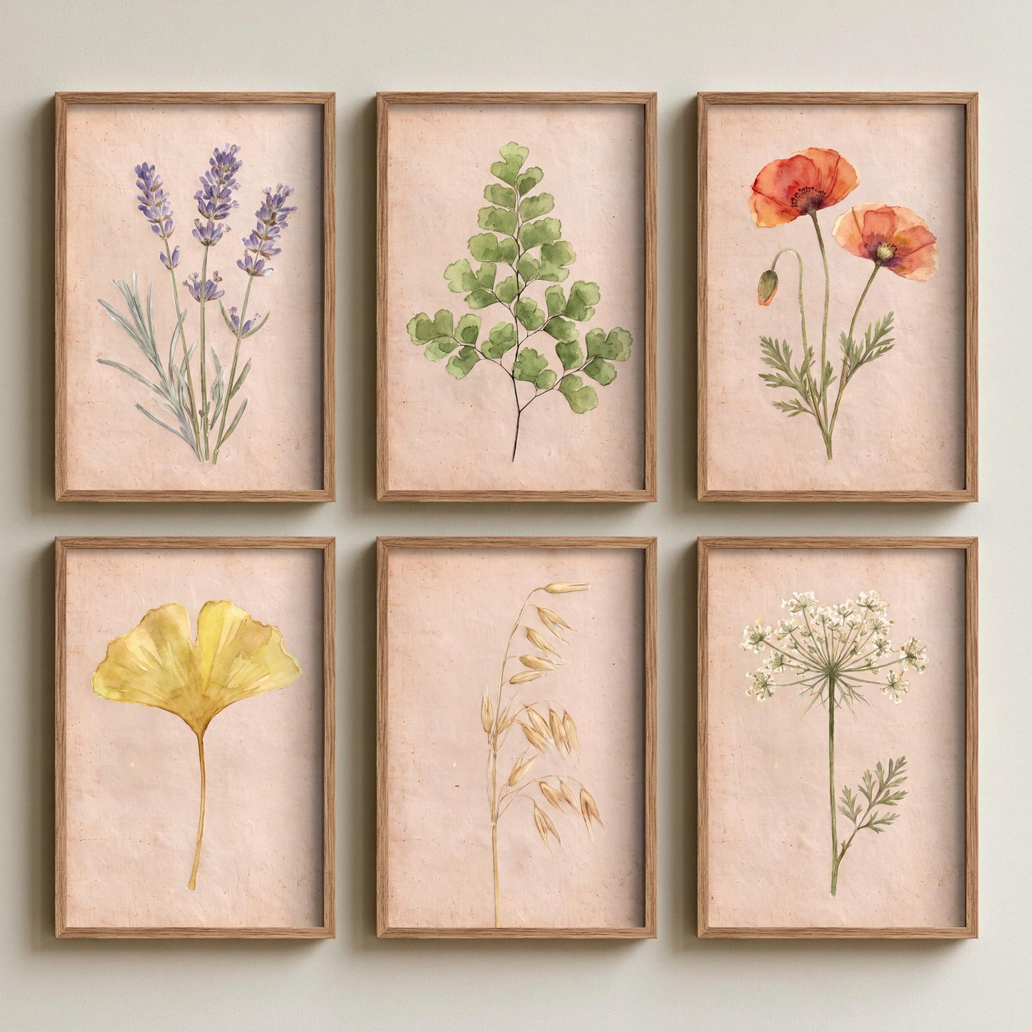 Set of Six Watercolour Botanical Art Prints - 6 Painted Posters - Lavender, Poppies, Maidenhair Fern, Ginkgo Leaf, Wild Oats, Wild Carrot V2