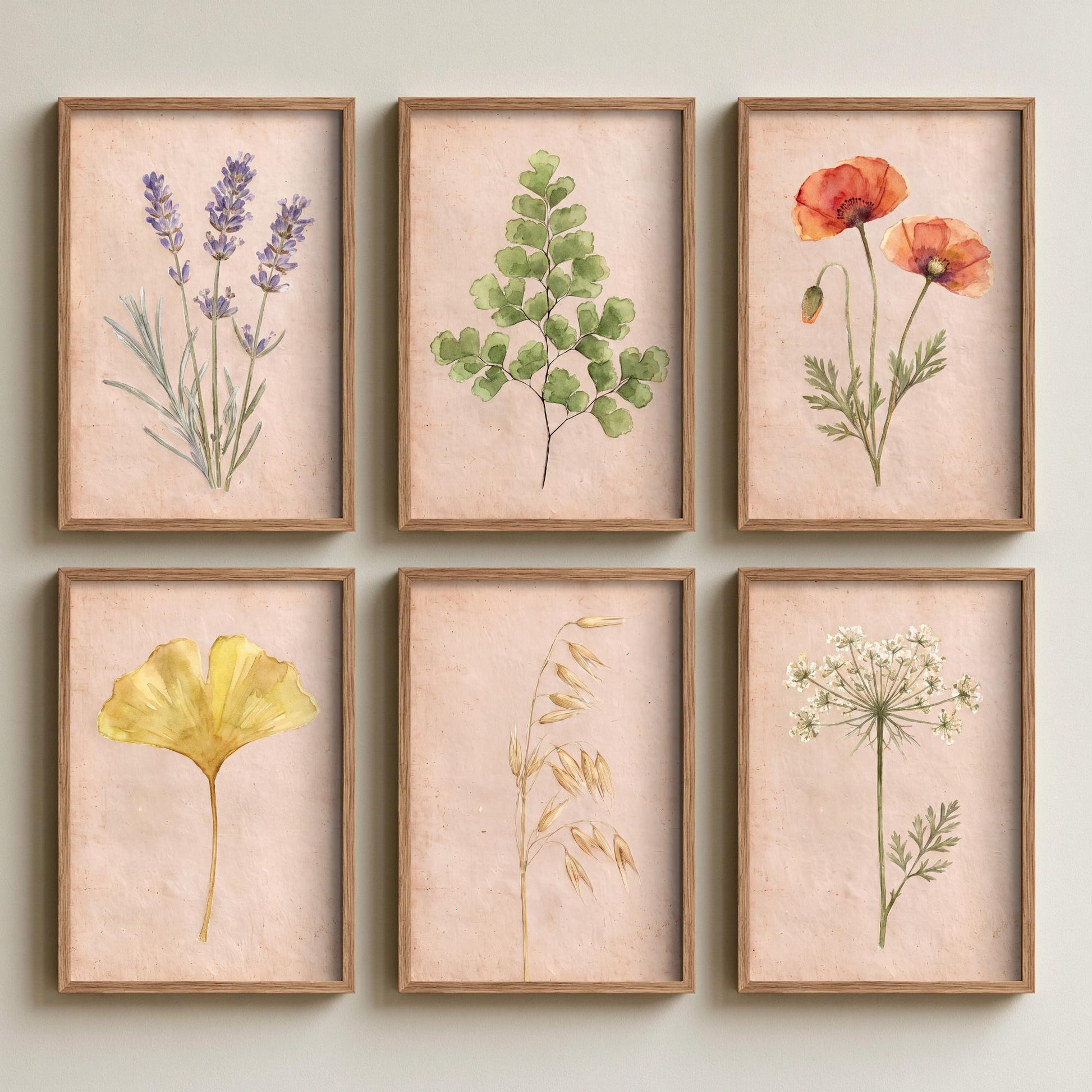 Set of Six Watercolour Botanical Art Prints - 6 Painted Posters - Lavender, Poppies, Maidenhair Fern, Ginkgo Leaf, Wild Oats, Wild Carrot V2