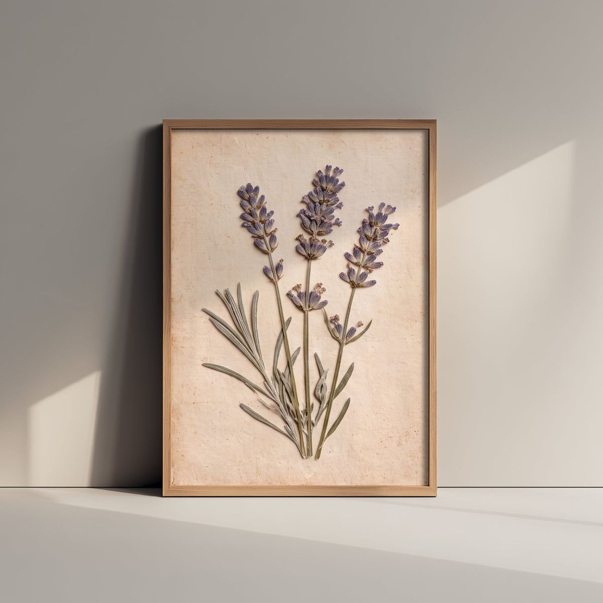 Pressed Lavender Art Print - French Country Herb Sprigs Photo - Vintage Herbarium Poster - Provence Botanical 1/3