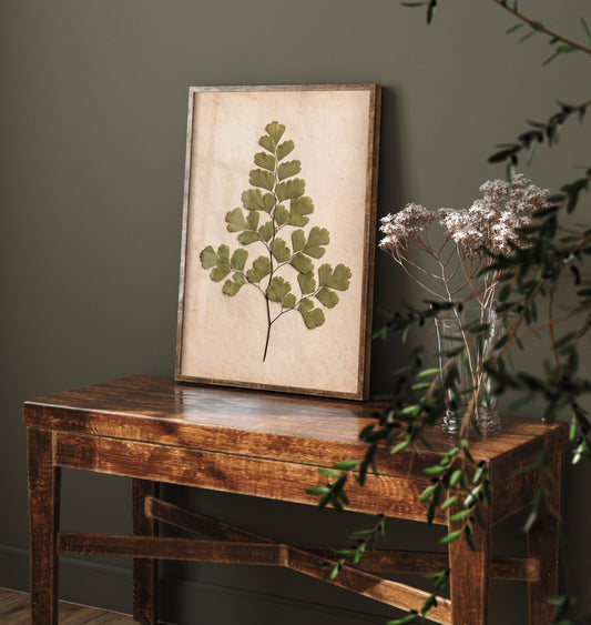 Pressed Maidenhair Fern Art Print - Delicate Fan Leaf Photo - Vintage Herbarium Poster - French Country Botanical 2/3