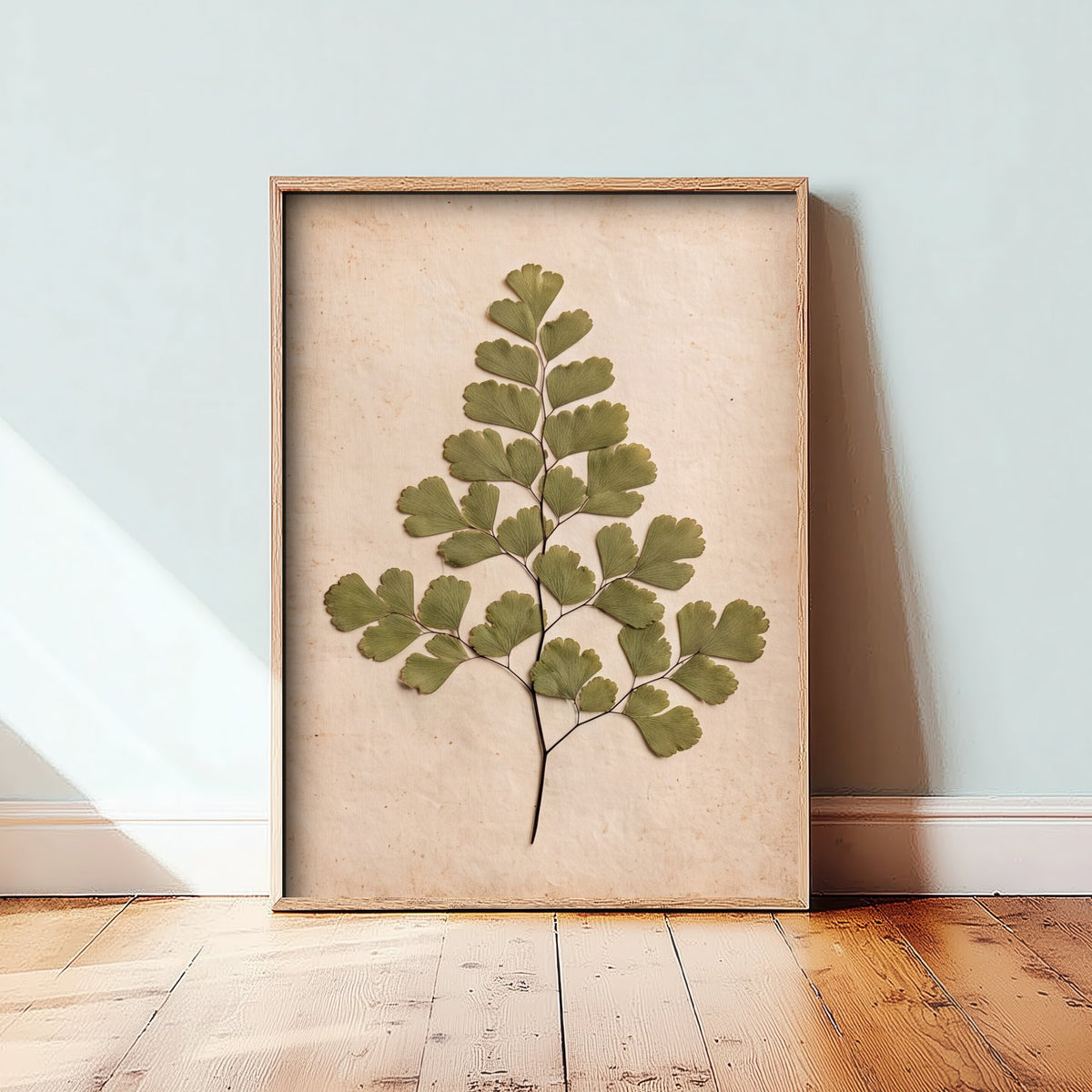 Pressed Maidenhair Fern Art Print - Delicate Fan Leaf Photo - Vintage Herbarium Poster - French Country Botanical 2/3