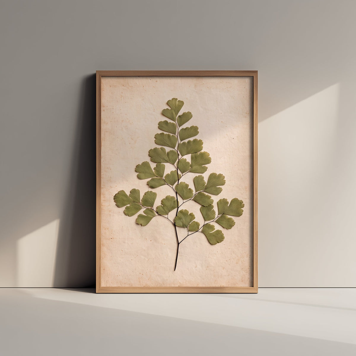 Pressed Maidenhair Fern Art Print - Delicate Fan Leaf Photo - Vintage Herbarium Poster - French Country Botanical 2/3