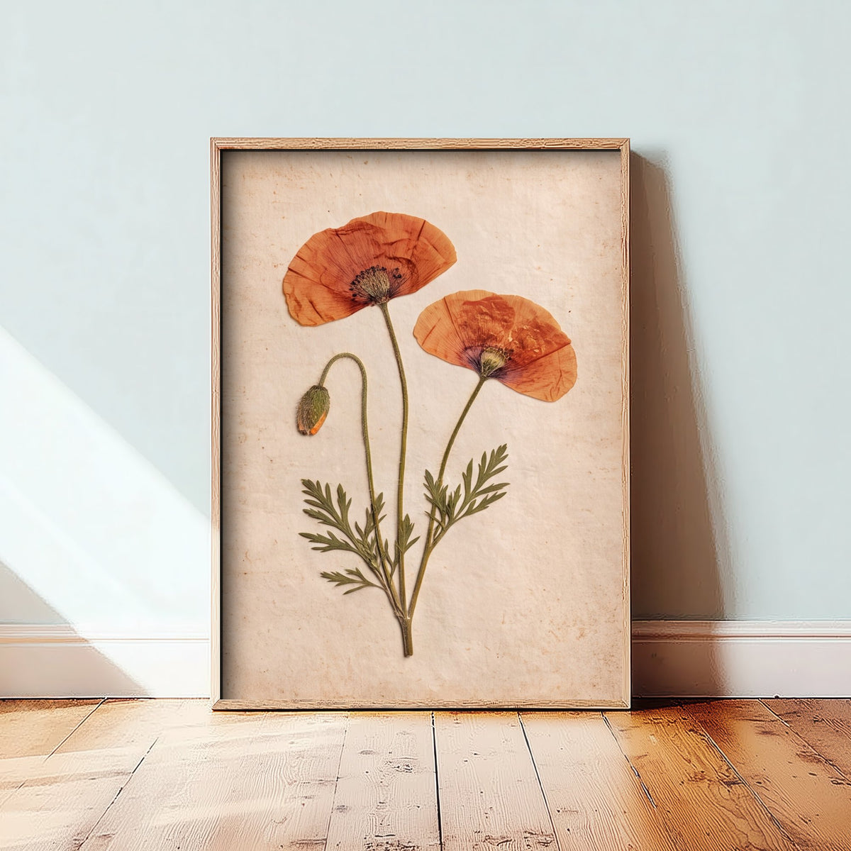 Pressed Poppy Art Print - Red Field Flowers and Bud Photo - Vintage Herbarium Poster - French Country Botanical 3/3