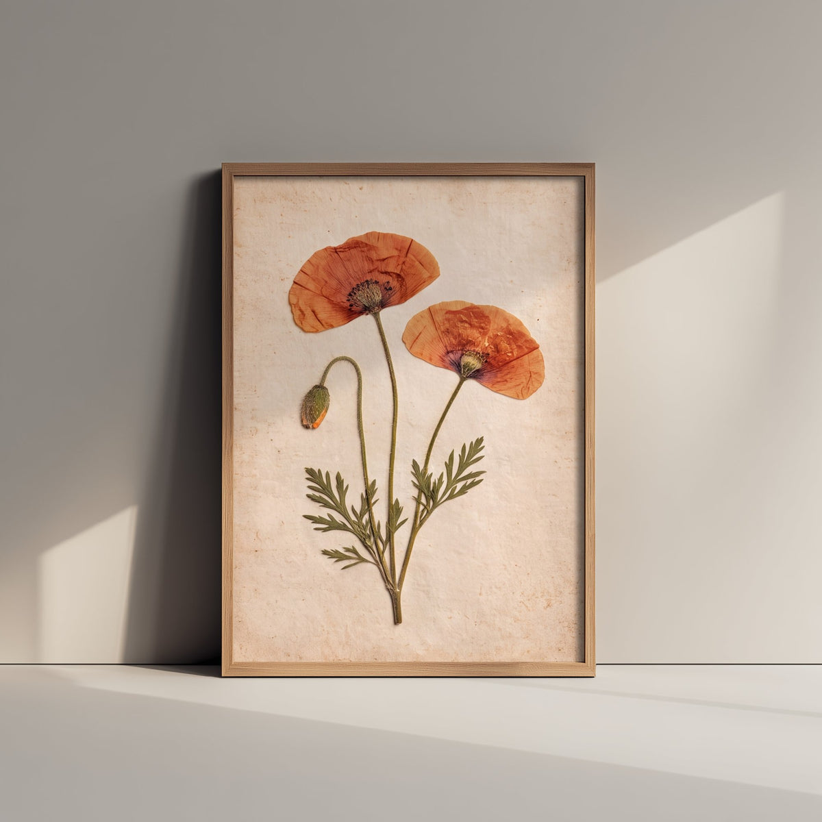 Pressed Poppy Art Print - Red Field Flowers and Bud Photo - Vintage Herbarium Poster - French Country Botanical 3/3