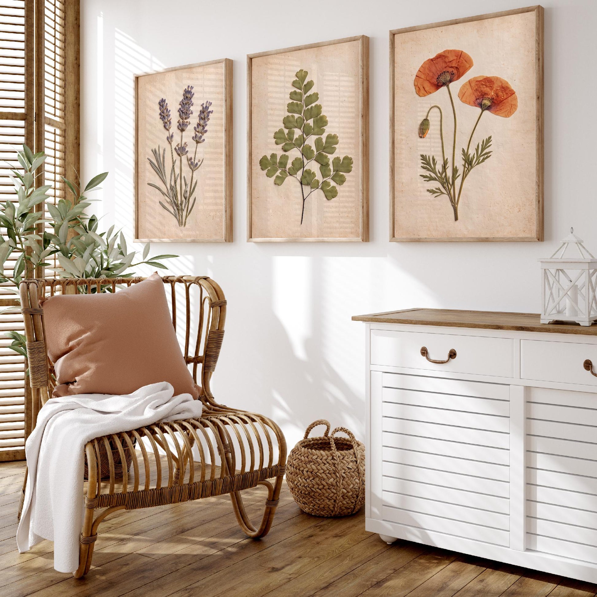 Set of Three Pressed Flower Art Prints - Lavender Maidenhair Fern and Poppy - Vintage Herbarium Photo Posters - French Country Botanical